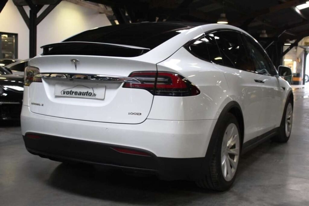 Tesla-Model X - 100D DUAL MOTOR 6PL